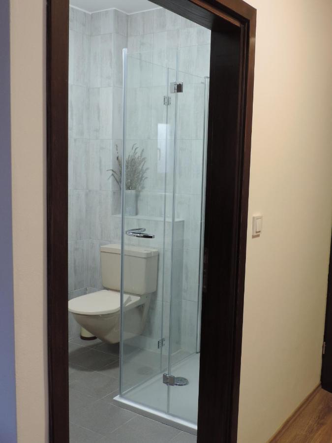 Hotel Vincentinum Novigrad Na Dobri دوغا غيسا المظهر الخارجي الصورة